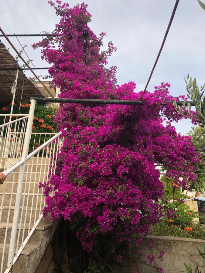 Apartament Cozy New Flat For 2 Or 3 Hvar Town Zewnętrze zdjęcie