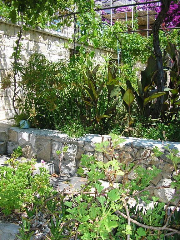 Apartament Cozy New Flat For 2 Or 3 Hvar Town Zewnętrze zdjęcie