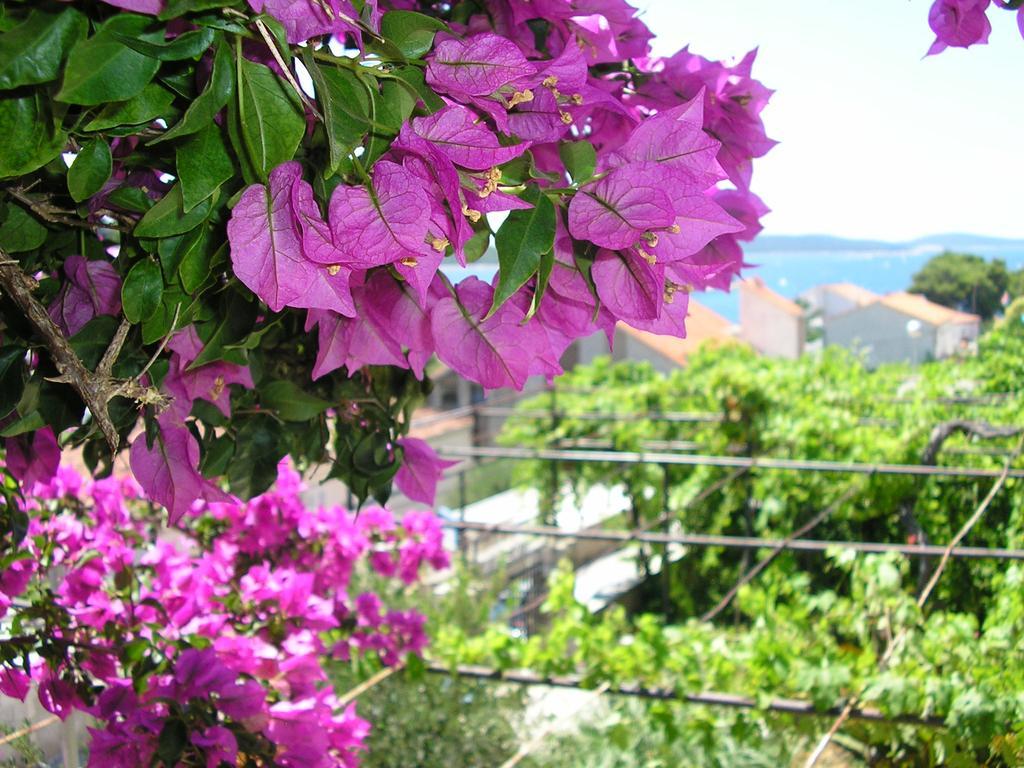 Apartament Cozy New Flat For 2 Or 3 Hvar Town Zewnętrze zdjęcie
