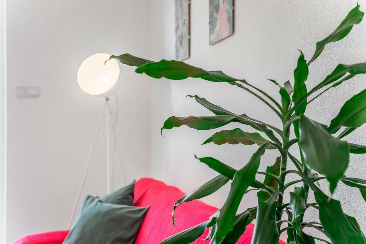 Apartament Cozy New Flat For 2 Or 3 Hvar Town Zewnętrze zdjęcie